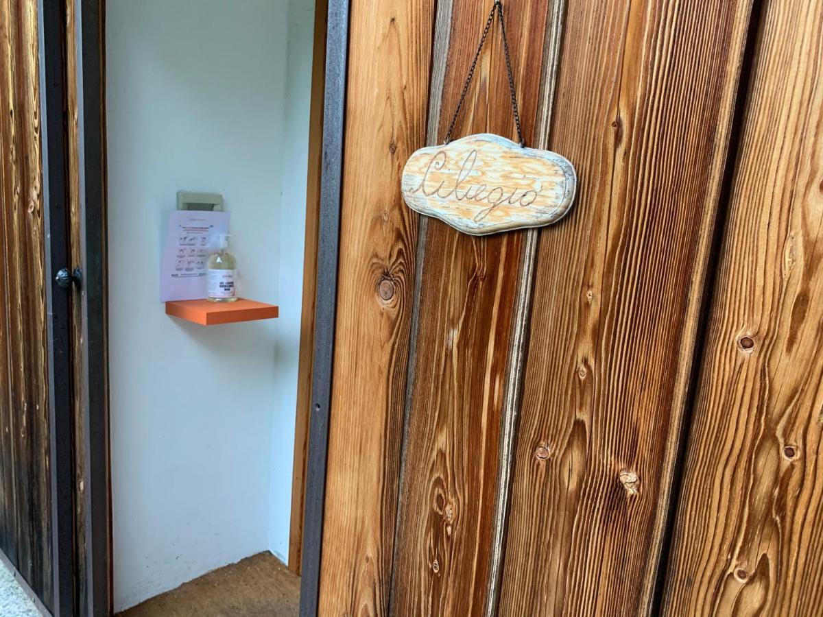 Il Ciliegio Selvatico Apartment Verbania Ngoại thất bức ảnh